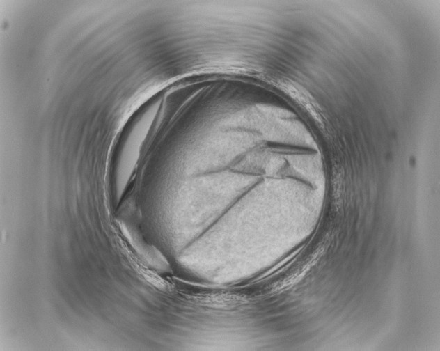 X0000086981077200705141710