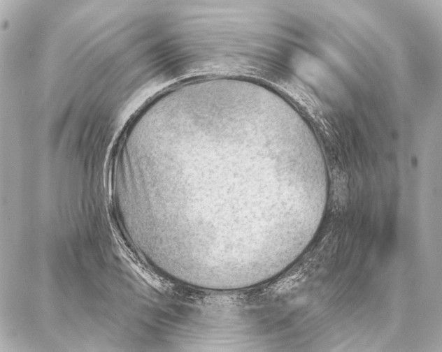 X0000086981078200705141710