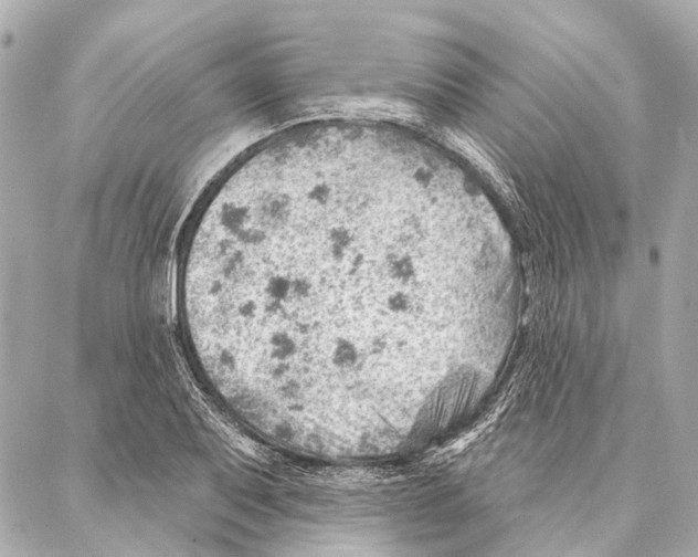 X0000086981079200705141710