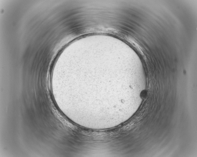 X0000086981080200705141710