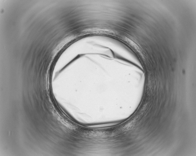 X0000086981082200705141710