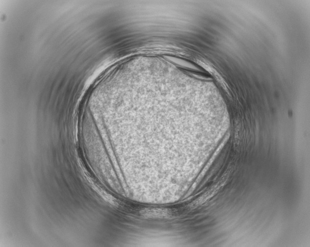 X0000086981083200705141710