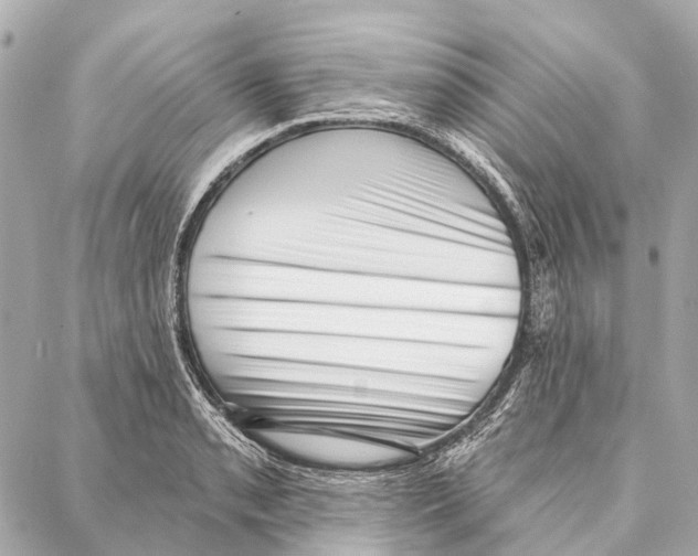 X0000086981085200705141710