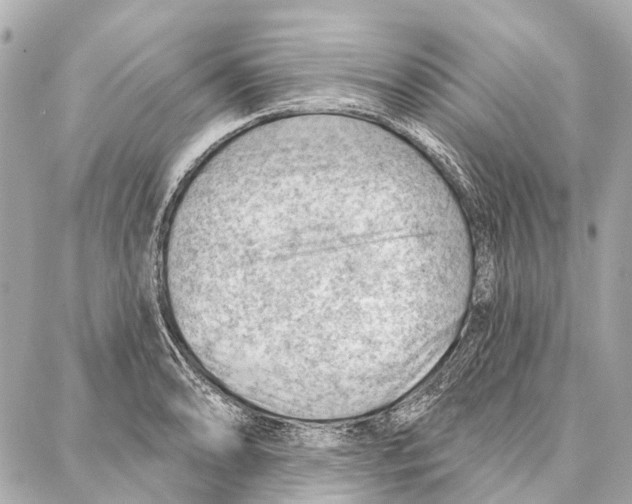 X0000086981086200705141710