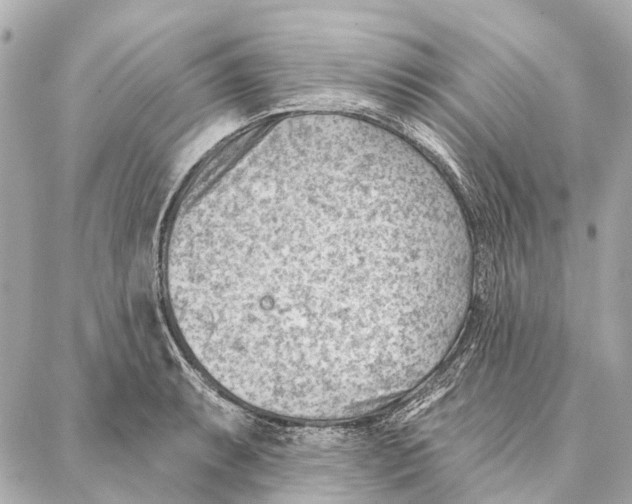 X0000086981087200705141710