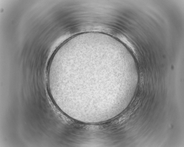 X0000086981088200705141710