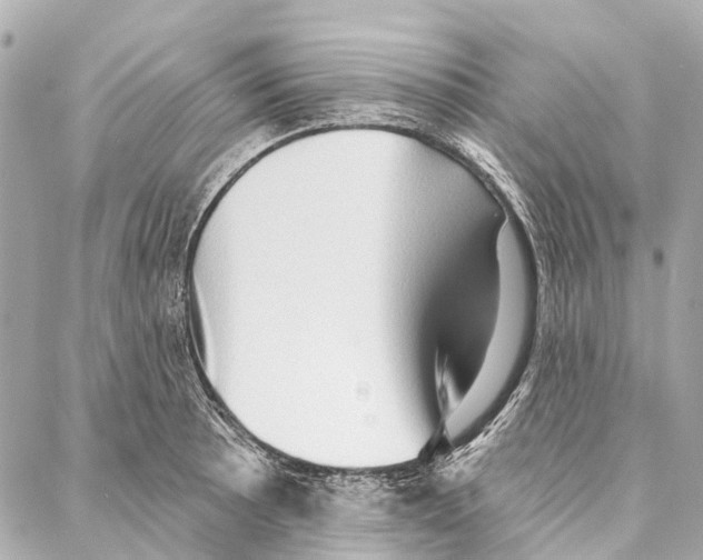 X0000086981089200705141710