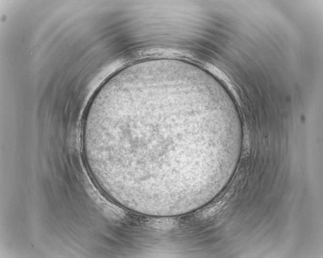 X0000086981090200705141710