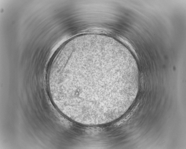 X0000086981091200705141710