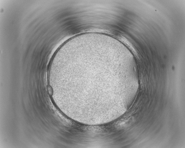 X0000086981092200705141710