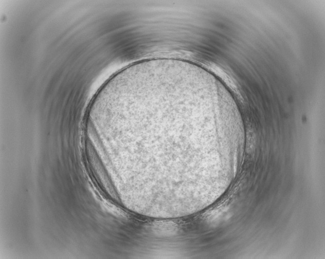 X0000086981094200705141710