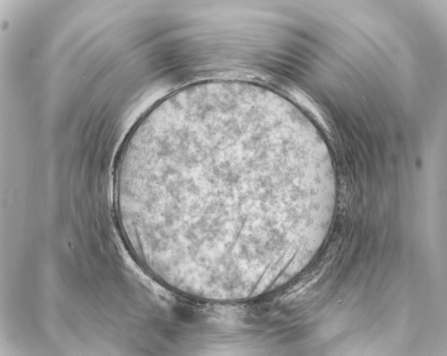 X0000086981095200705141710