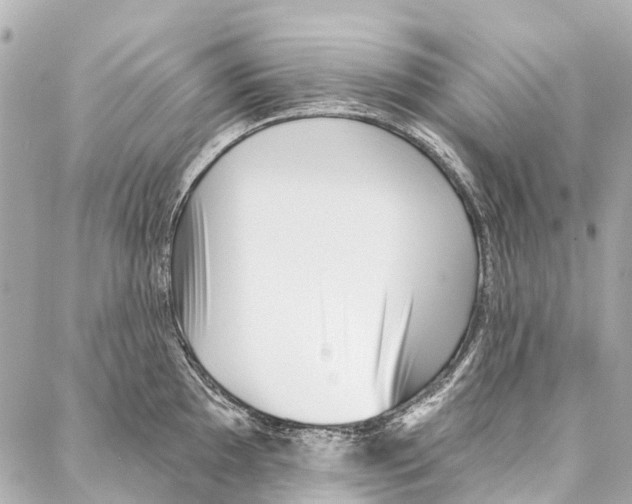 X0000086981097200705141710