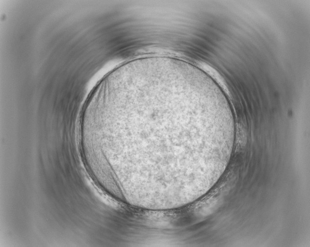 X0000086981098200705141710