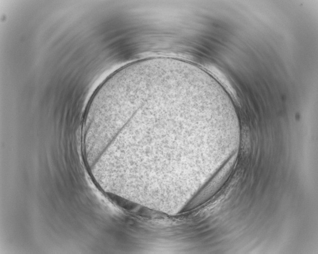 X0000086981100200705141709