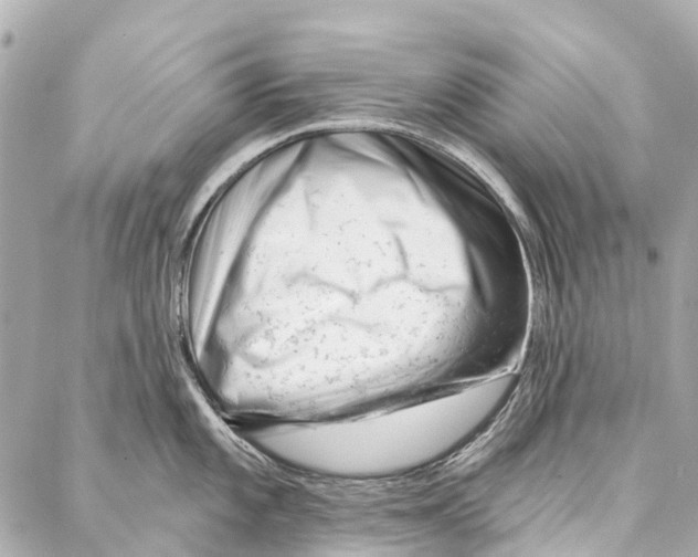 X0000086981101200705141709