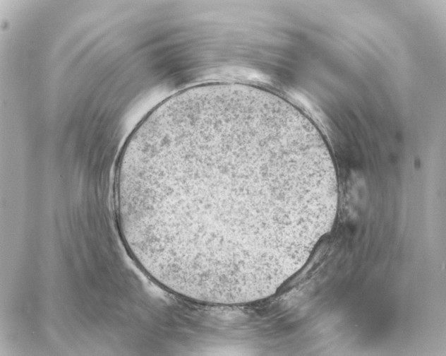 X0000086981103200705141709