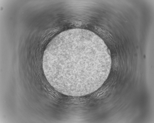 X0000086981105200705141709