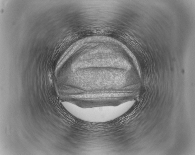 X0000086981106200705141709