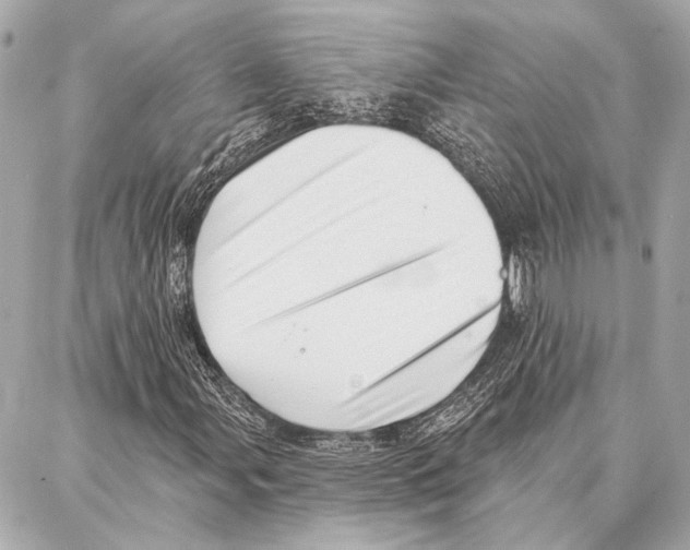 X0000086981107200705141709