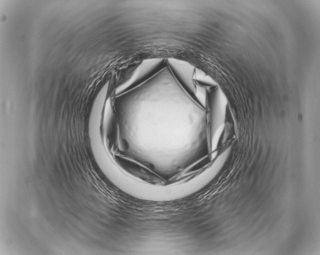 X0000086981108200705141709