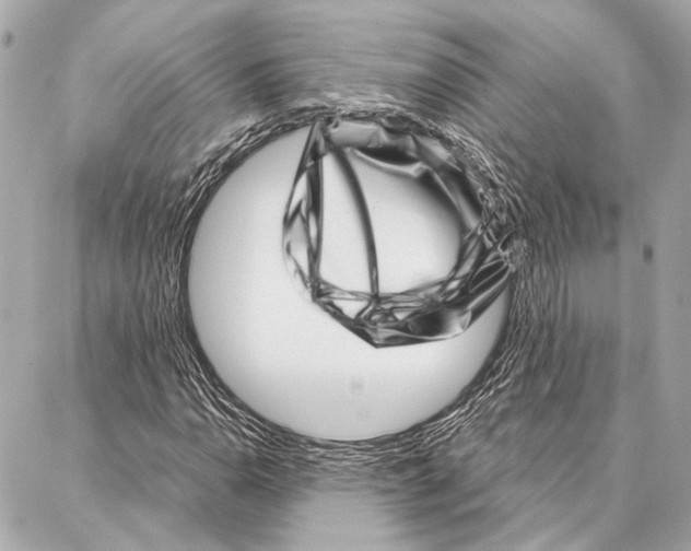 X0000086981110200705141709