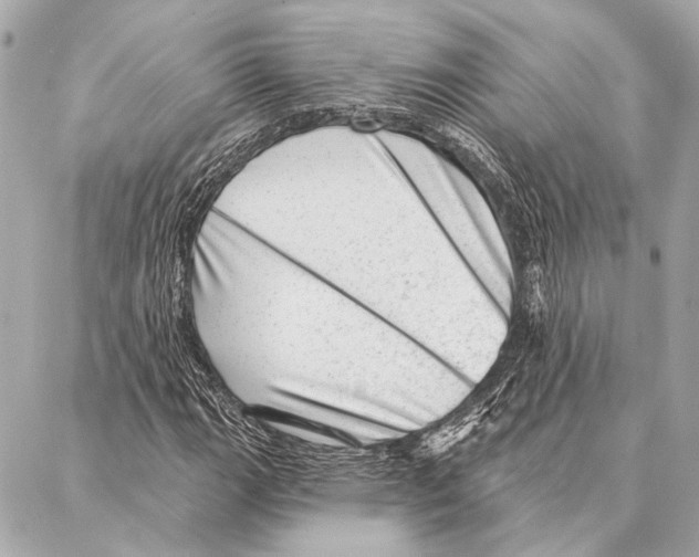 X0000086981111200705141709