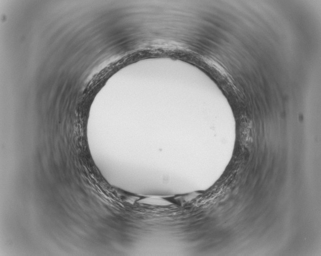 X0000086981112200705141709