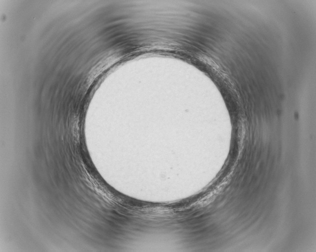 X0000086981113200705141709