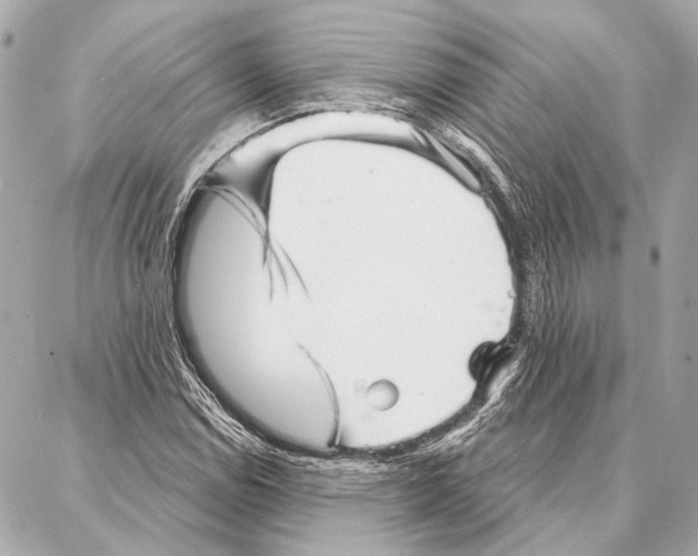 X0000086981114200705141709