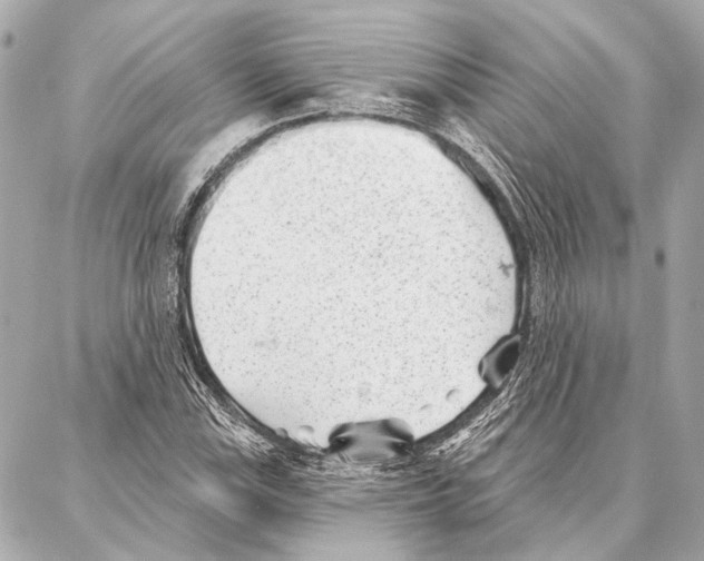 X0000086981115200705141709