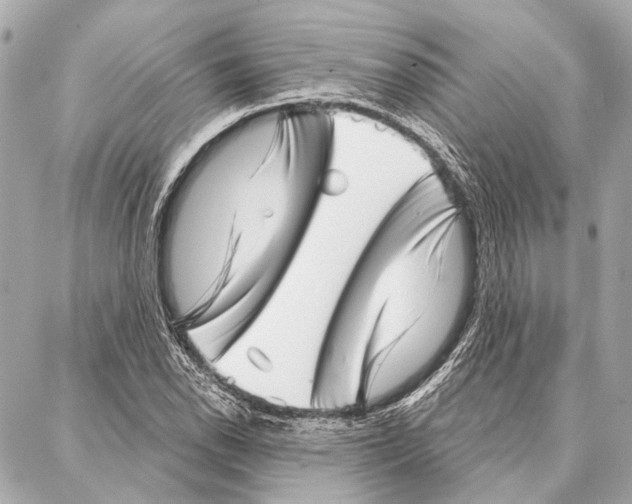 X0000086981118200705141709