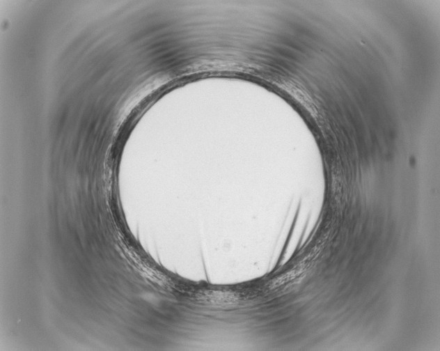 X0000086981119200705141709