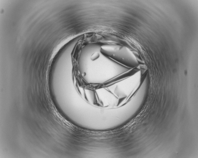 X0000086981120200705141709