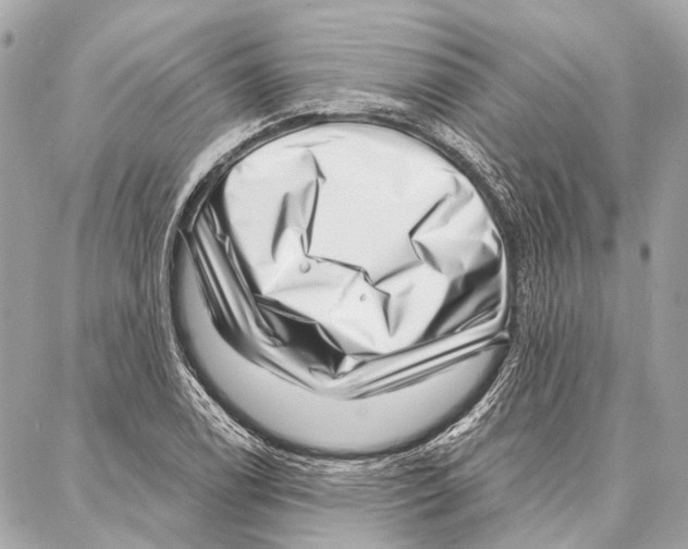 X0000086981122200705141709