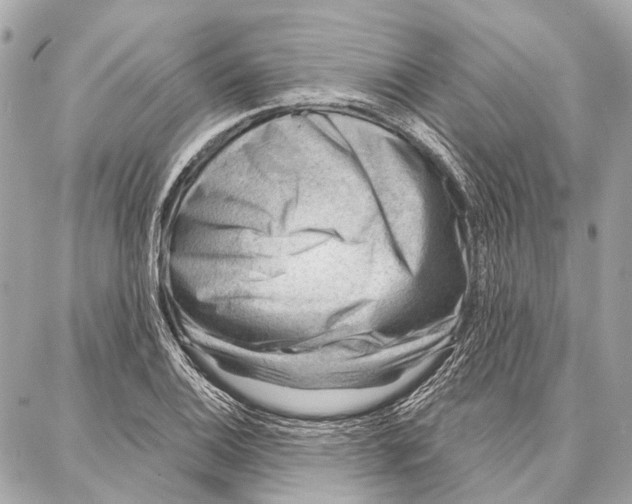 X0000086981124200705141709