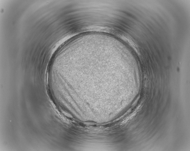 X0000086981125200705141709