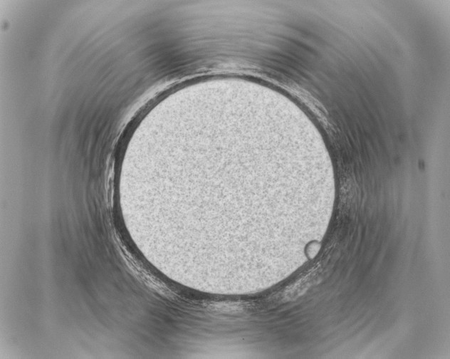 X0000086981126200705141709