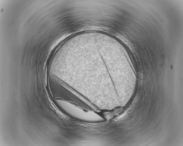 X0000086981127200705141709