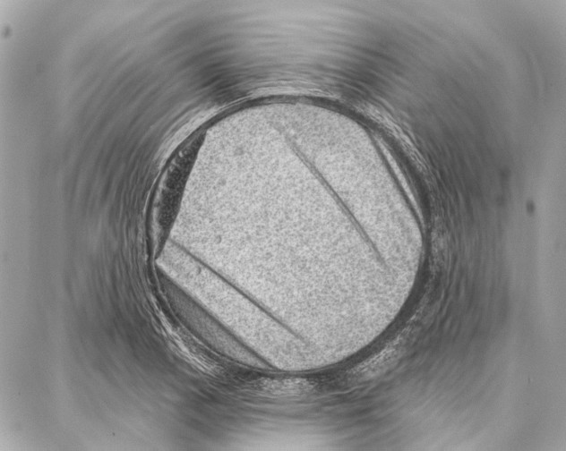 X0000086981129200705141709