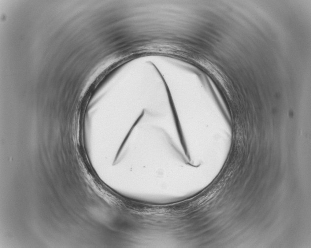 X0000086981131200705141709