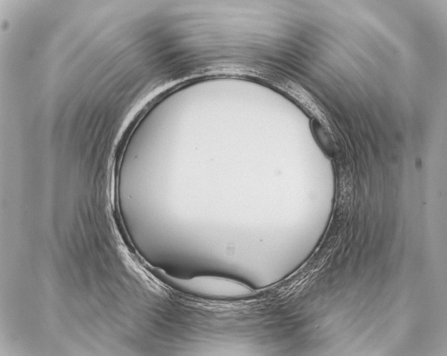 X0000086981132200705141709