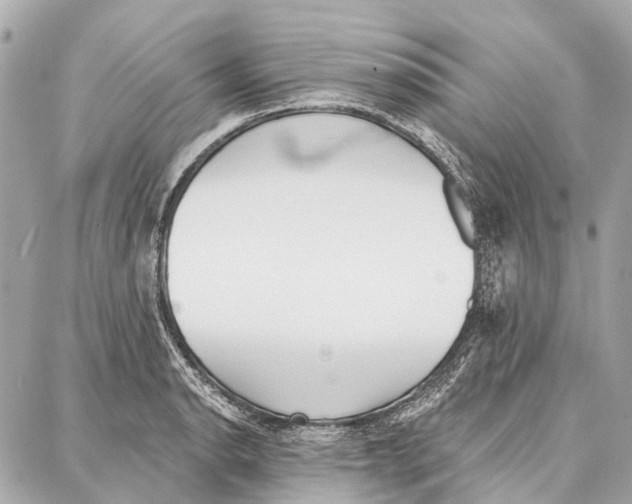 X0000086981134200705141709