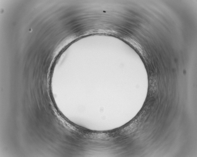 X0000086981135200705141709