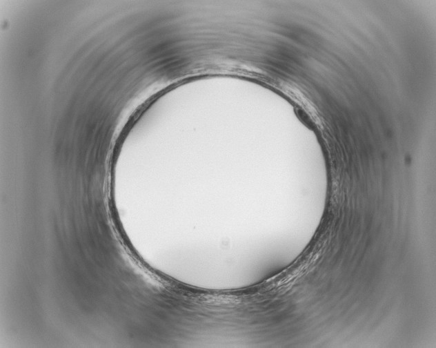 X0000086981136200705141709