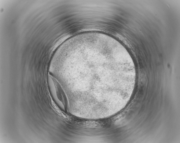 X0000086981137200705141709