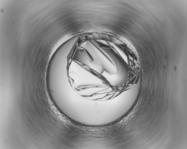 X0000086981138200705141709