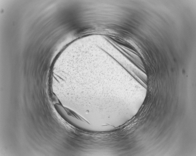 X0000086981139200705141709