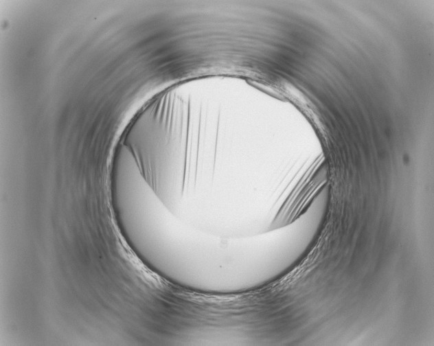 X0000086981140200705141709