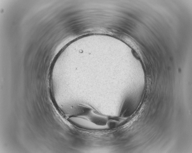 X0000086981141200705141709